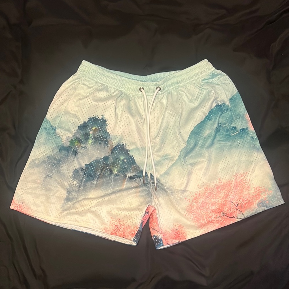 YoungLa shorts. Only worn a few times.